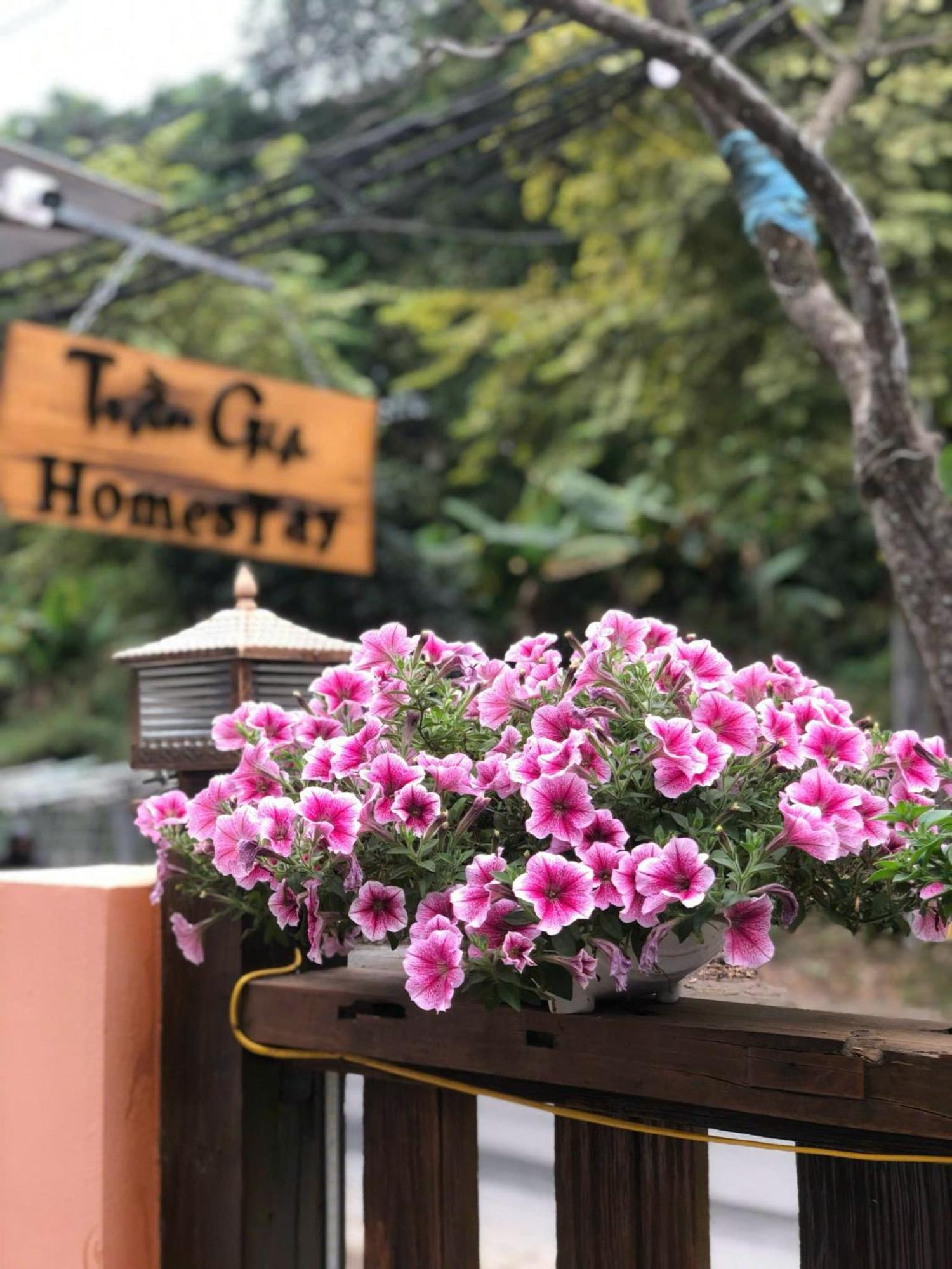 Tran Gia Homestay Nghia Lo Экстерьер фото