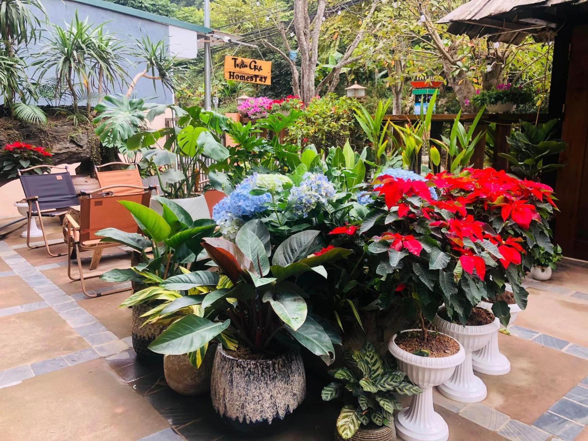 Tran Gia Homestay Nghia Lo Экстерьер фото